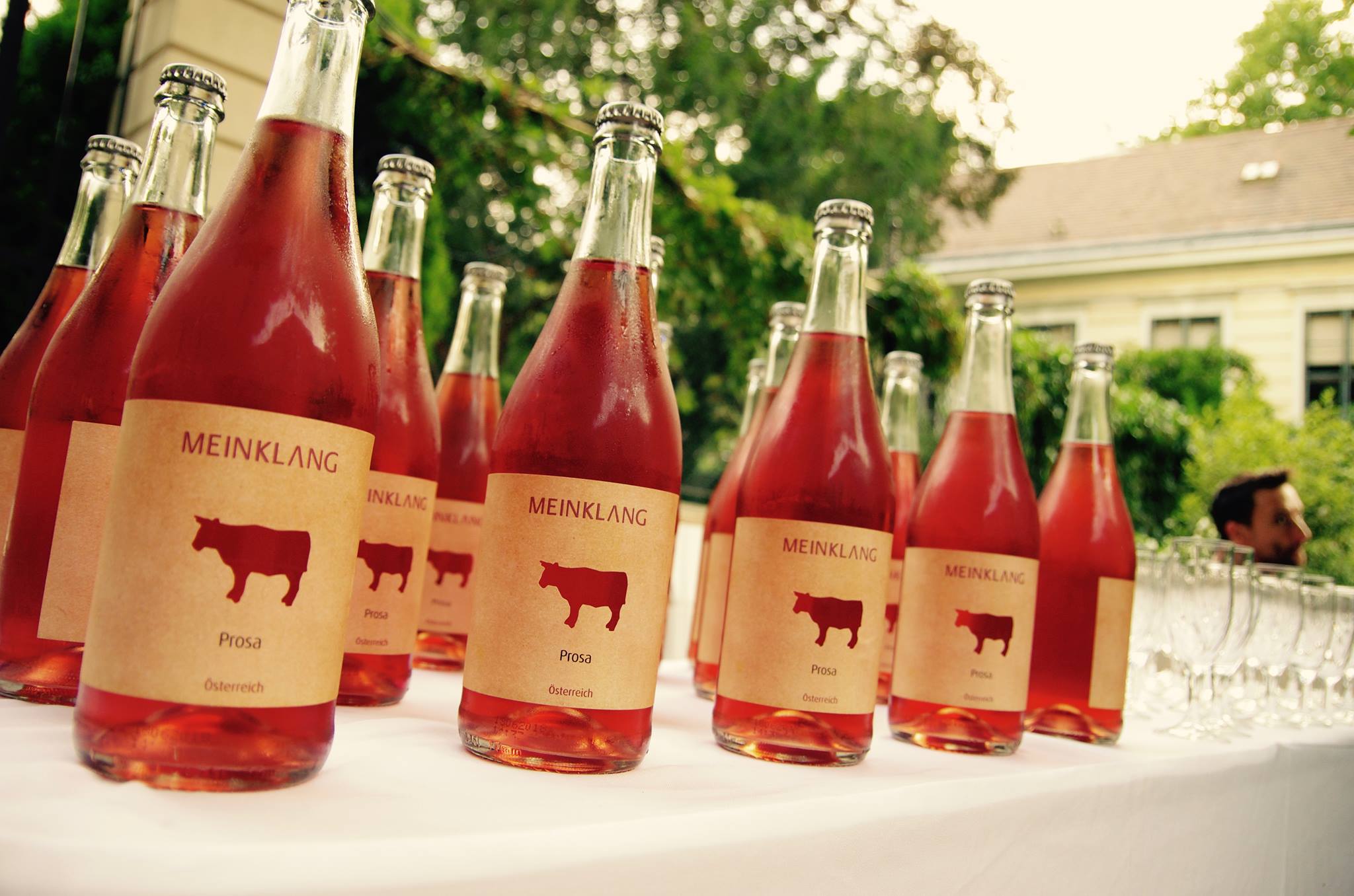 Jemně perlivá Prosa Rosé 