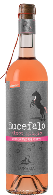 Bucefalo Pinot Grigio Vino da Uve Appassite Lunaria BIO Demeter