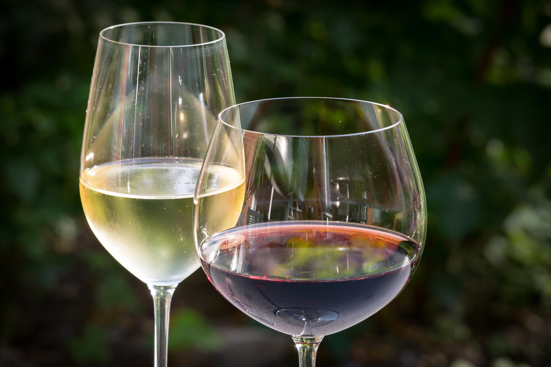Bring September Grilling to Life: Combine Fire, Great Food, and Premium Organic Wines